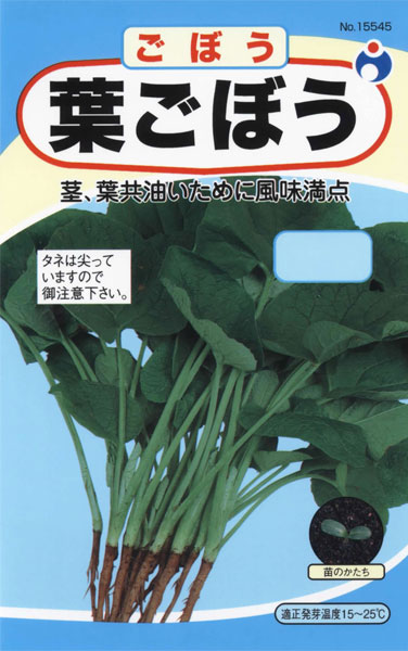 葉ごぼう 株式会社ウタネ