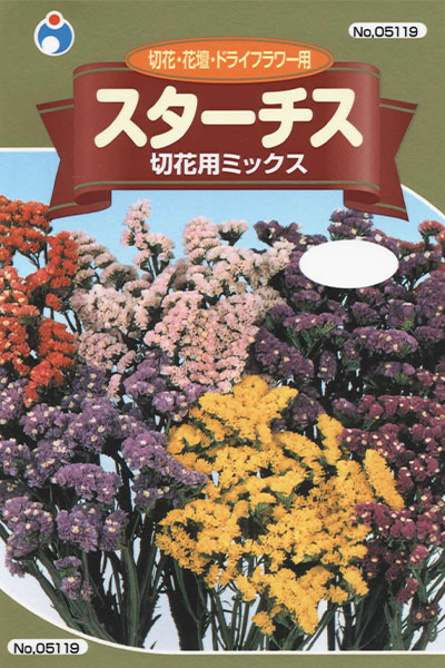 スターチス 切花用ミックス 株式会社ウタネ